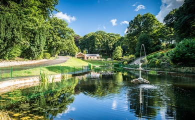 Park in Northumberland